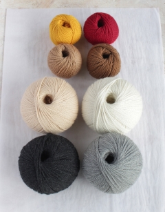 The 12 Birds of Christmas Yarn Bundle