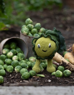 Brussels Sprout Kit