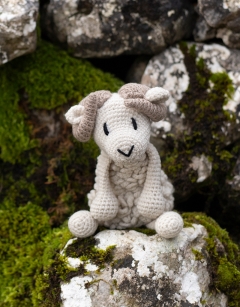 Bryn the Welsh Mountain Sheep