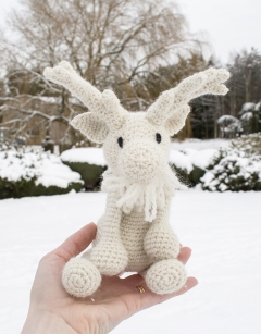 Caspar the Peary Caribou 