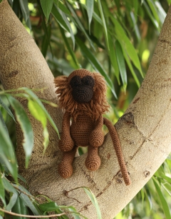 Abel the Howler Monkey 