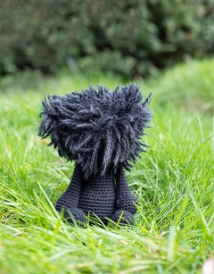 Patrick the Affenpinscher