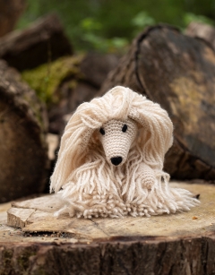 Amy the Afghan Hound