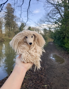 Amy the Afghan Hound