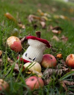 Apple Core Kit