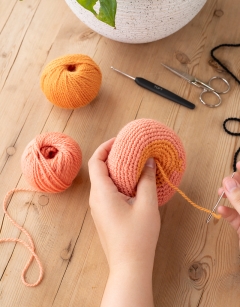Flat Nectarine Kit