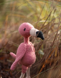 Cindy the American Flamingo Kit