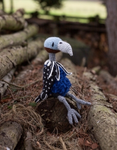 Agatha the Vulturine Guineafowl