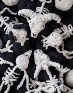 Large Cat Skeleton
