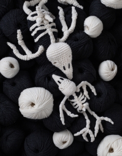 Poe the Raven Skeleton