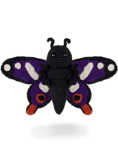 Angelo the Purple Emperor Butterfly