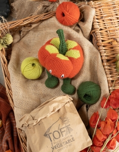 Daisy Gourd Kit