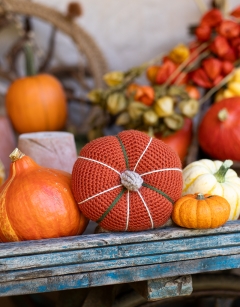 Maxima Squash Kit