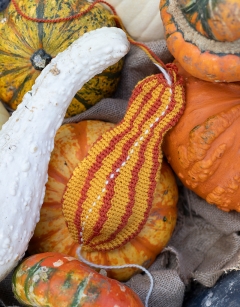 Striped Crookneck Gourd Kit