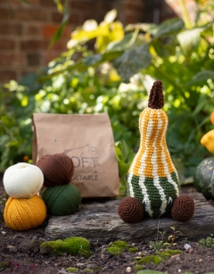 Striped Pear Gourd Kit