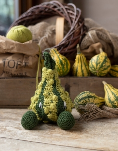 Striped Warty Gourd Kit