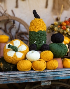 Yellowing Gourd Duo