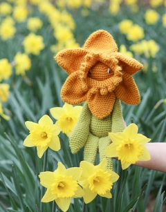 Daffodil Kit