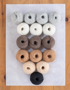 Little Critters Bundle