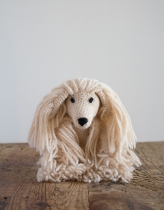 Amy the Afghan Hound