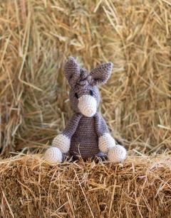 Angharad the Donkey