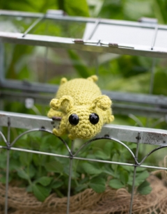 Gwendolyn the Aphid Kit