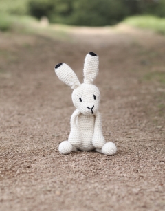 Matilda the Arctic Hare