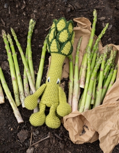 Asparagus Kit