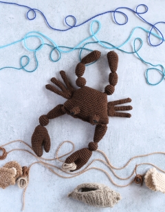 Jimmy the Atlantic Crab