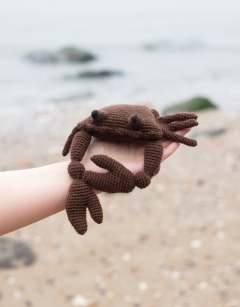 Jimmy the Atlantic Crab