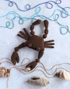 Jimmy the Atlantic Crab