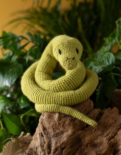 Atticus the Snake Kit