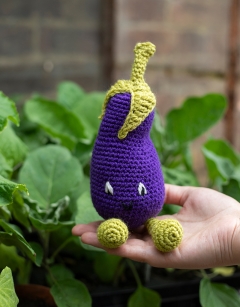 Baby Aubergine Kit