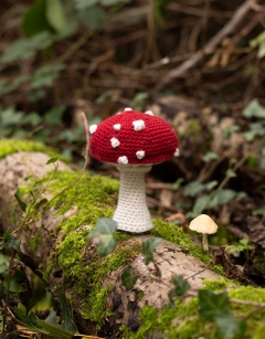 Toadstool Bundle