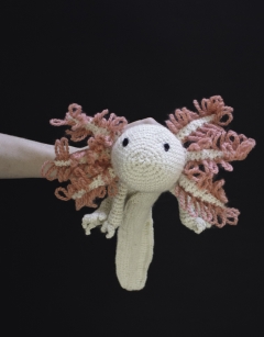 Danielle the Axolotl