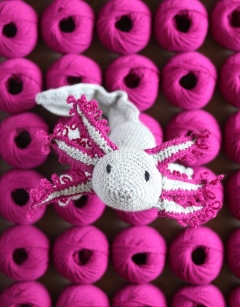 Danielle the Axolotl
