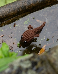 Pip the Tadpole