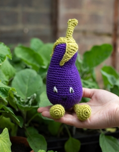 Baby Aubergine Kit