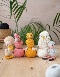 Baby Birds Discovery Box