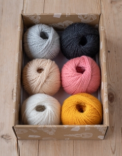 Baby Birds Discovery Box