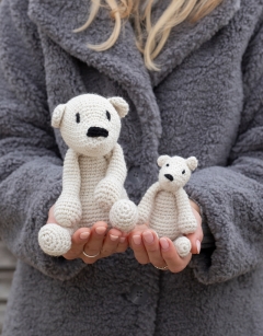 Baby Polar Bear Discovery Box