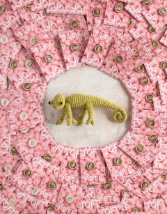 Mini Kerry the Chameleon