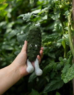 Baby Cucumber Kit