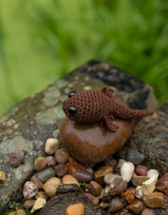 Pip the Tadpole