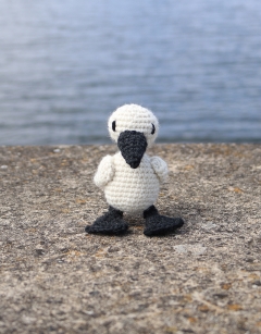 Mini Bram the Northern Gannet