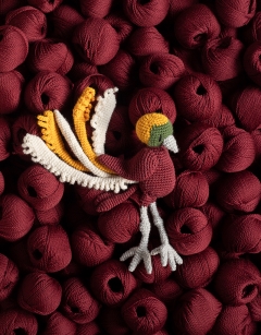 Putu the Lesser Bird of Paradise