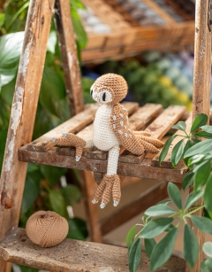 Barney the Barn Owl Kit