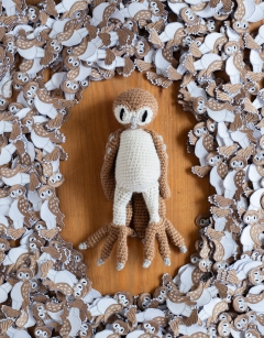 Barney the Barn Owl
