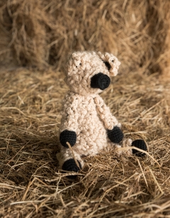 Barry the Woolly Pig