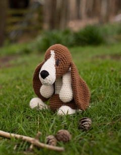 Holmes the Basset Hound